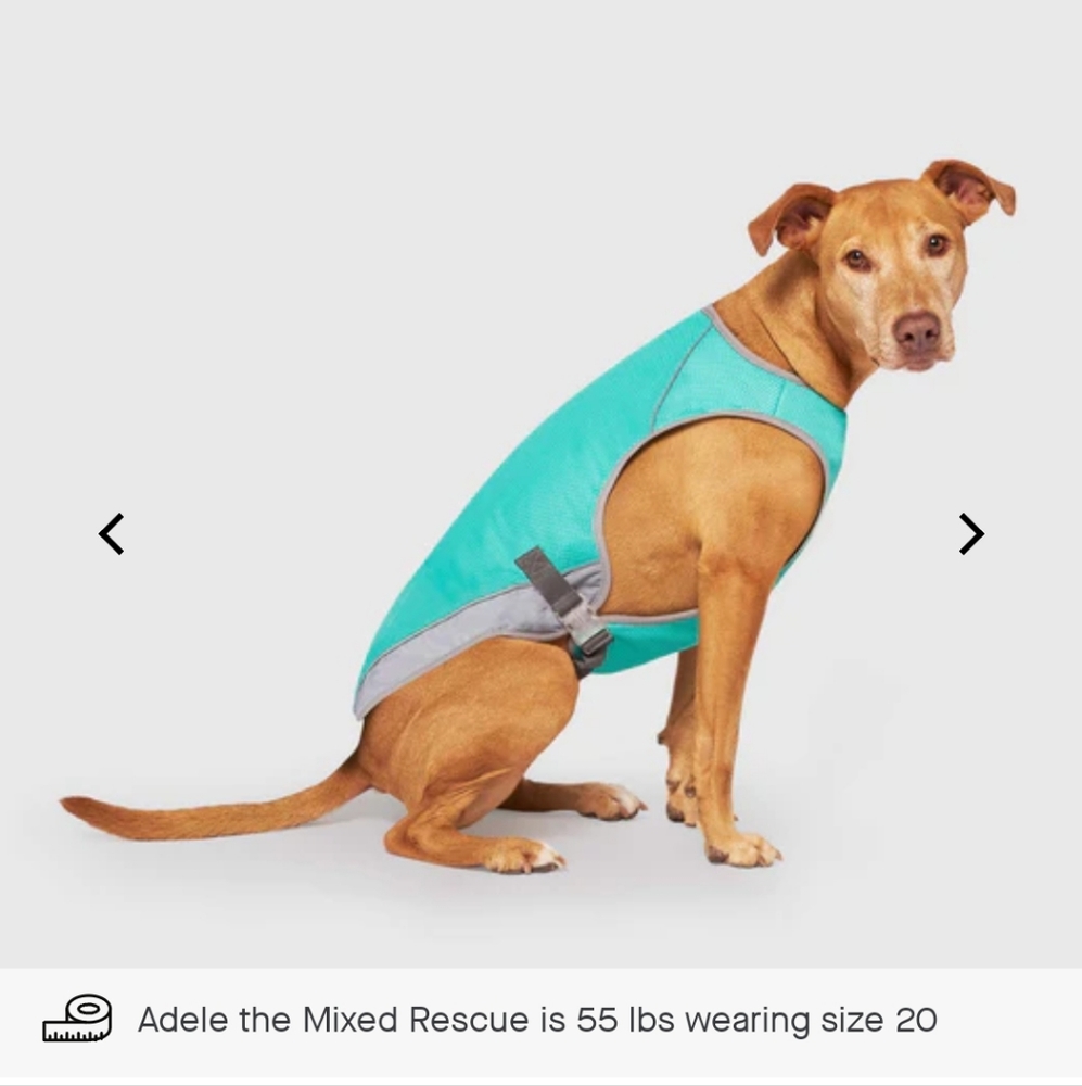 🐾NEW Canada Pooch Cooling Vest 14